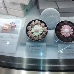 J.DEUX CERCLE（ジェイ・ドゥ・セルクル）