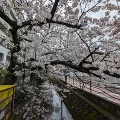 神地橋