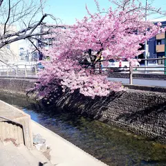 山王橋
