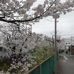 今井仲橋