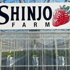 SHINJO FARM