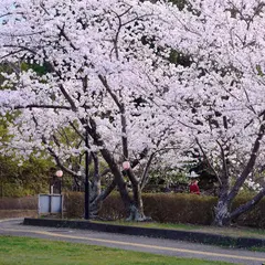 彦左公園