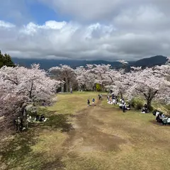 弘法山公園