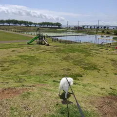 大井戸湖岸公園