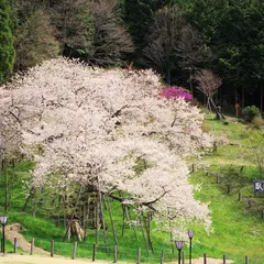 大幢寺