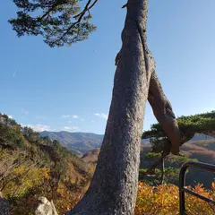 地蔵倉遺跡