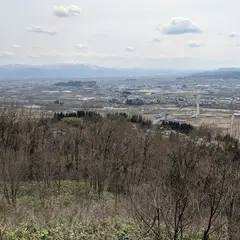 山王台公園