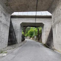 日本のさくら見本園