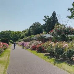 薔薇園
