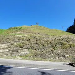 いすみ市文化とスポーツの森