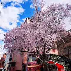 金蛇水神社分霊社