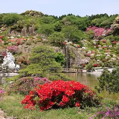 佐世保花園