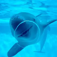 マリンワールド海の中道