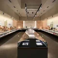 徳島市立考古資料館