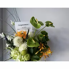 shienflower