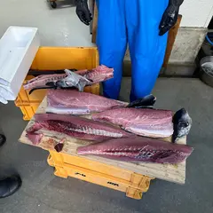 ぴちぴちひもの丸源