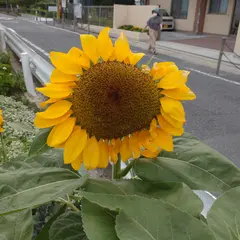 市場公民館