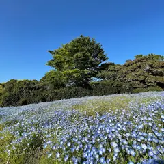 くりはま花の国ハーブ園
