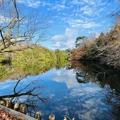 八景の池
