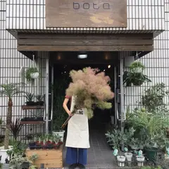 bota flowers＆plants