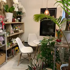はならかん