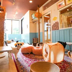 SAVE CAT CAFE