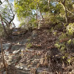 新峯山