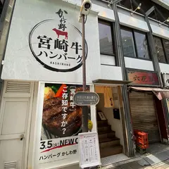 ハンバーグ かしわ野