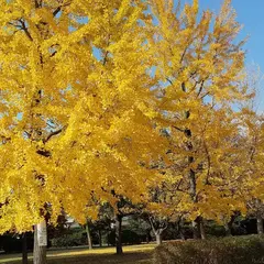 八戸の里公園