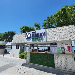 The Berry Spot