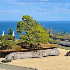 鳳凰の松