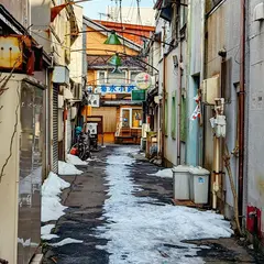 菊水小路