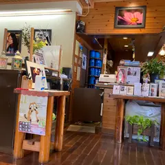 coffee shop 白樺