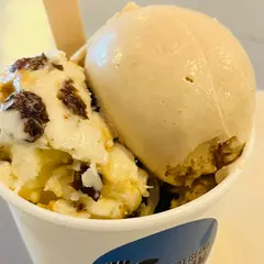 Mount Desert Island Ice Cream Matsumoto