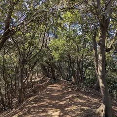 陸上岬遊歩道