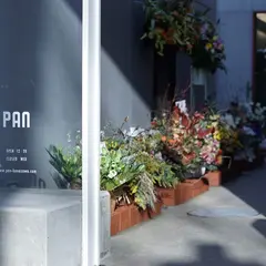 PAN