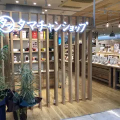 タマチャンショップ宮崎micc店