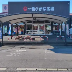 さかな市場食堂 なご八