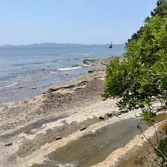 紫の砂浜