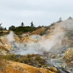 オナメ・モトメ