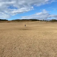 大きな芝生広場