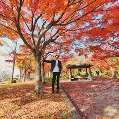 紫水ヶ丘公園
