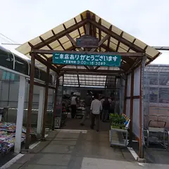 グリーンプラザ カワシマ