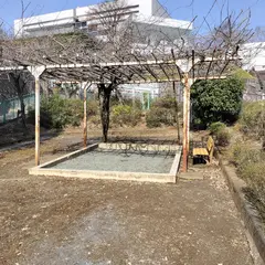 水崎公園