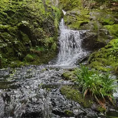 つくばねの滝
