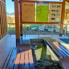 安倍ごころの足湯