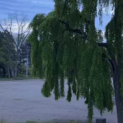 盛岡城跡公園 (岩手公園)