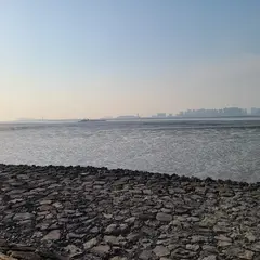 Baegot Hanwool Park