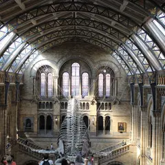 Natural History Museum