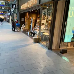 Søstrene Grene